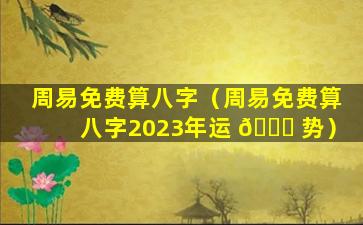 周易免费算八字（周易免费算八字2023年运 🐝 势）